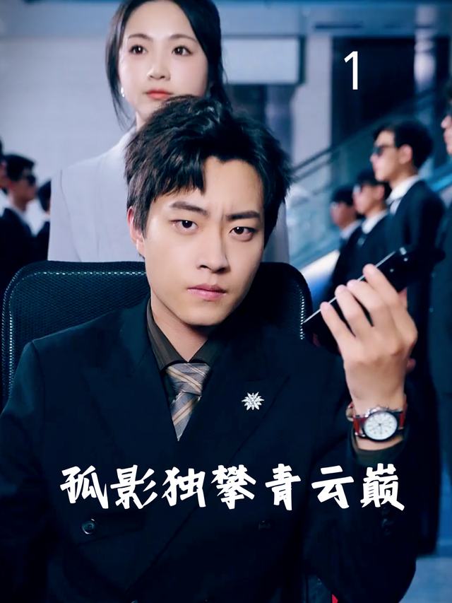 孤影独攀青云巅封面