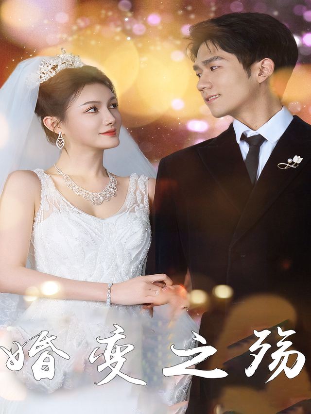 婚变之殇封面