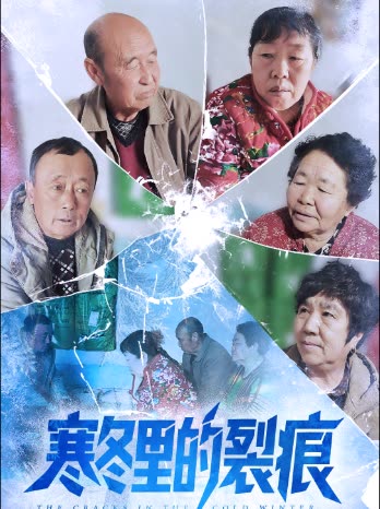 寒冬里的裂痕封面
