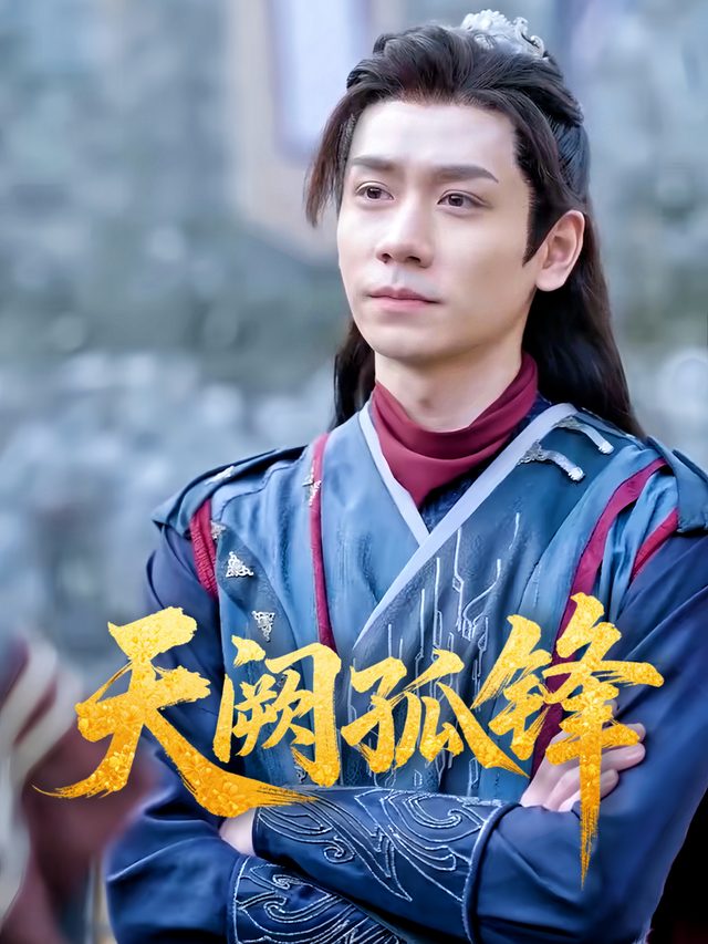 天阙孤锋封面
