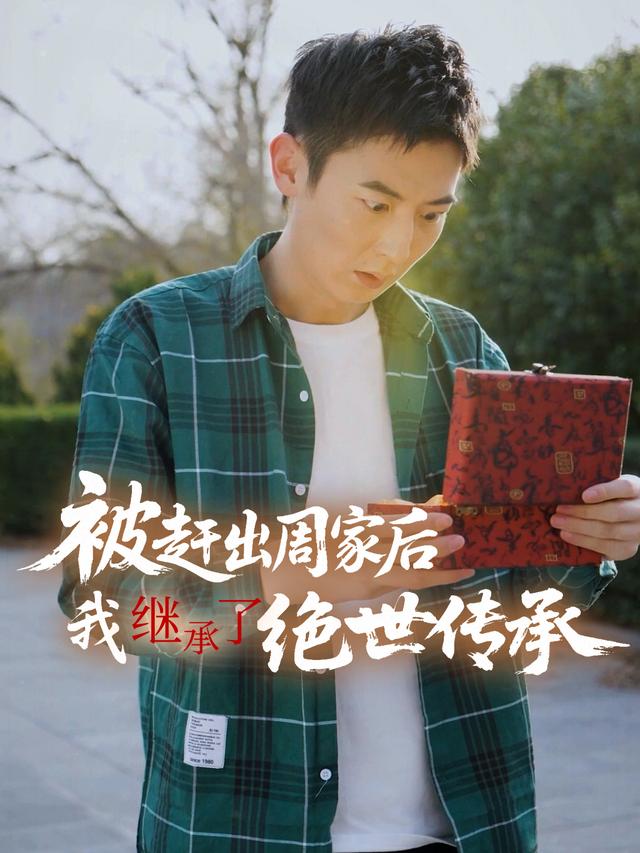 被赶出周家后,我继承了绝世传承封面