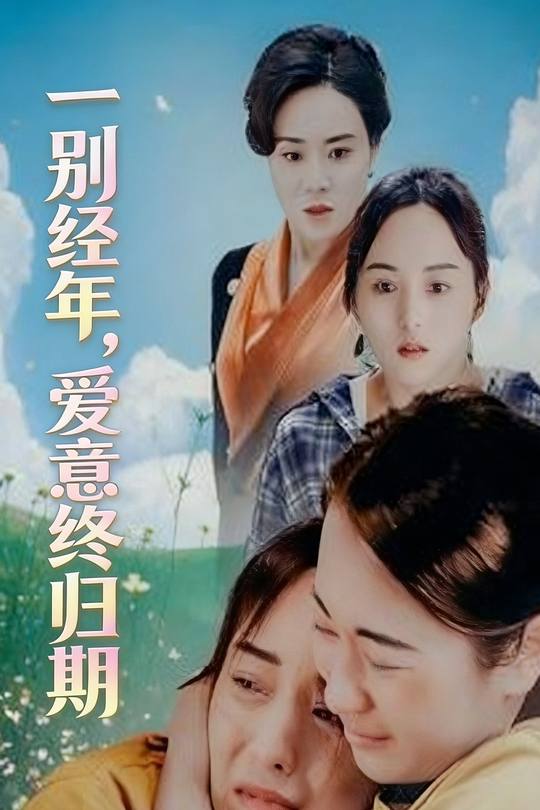 一别经年,爱意终归期封面