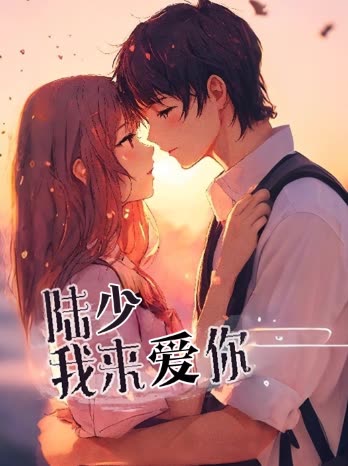 陆少我来爱你封面