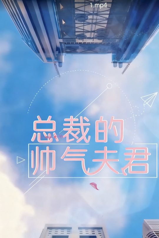 总裁的帅气夫君封面