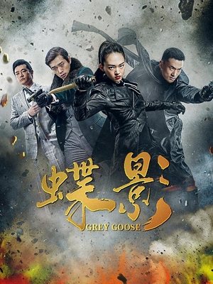 合集 · 蝶影(4)封面