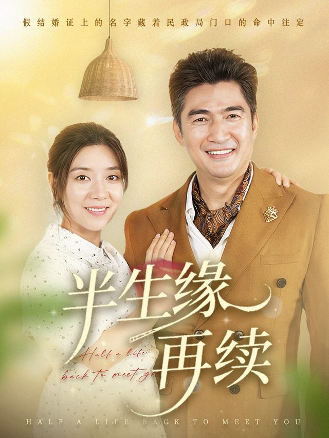 半生缘再续封面