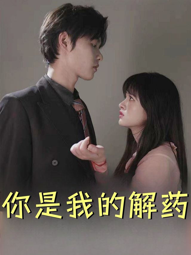 你是我的解药封面
