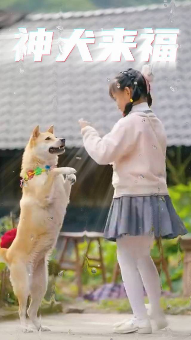 神犬来福封面