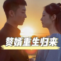 赘婿重生归来封面