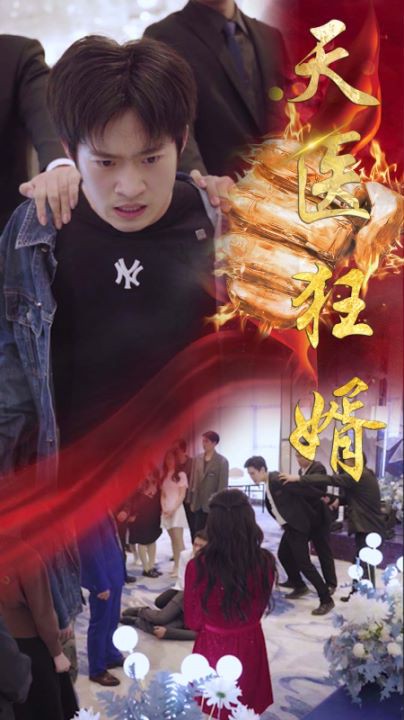天医狂婿封面