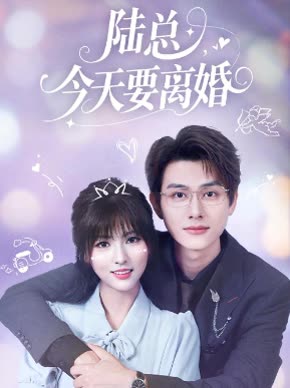 陆总,今天要离婚封面