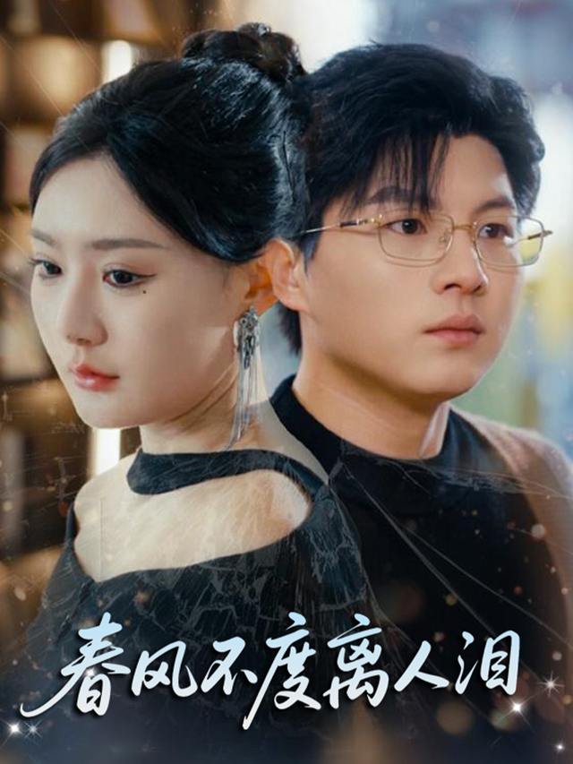 春风不度离人泪封面