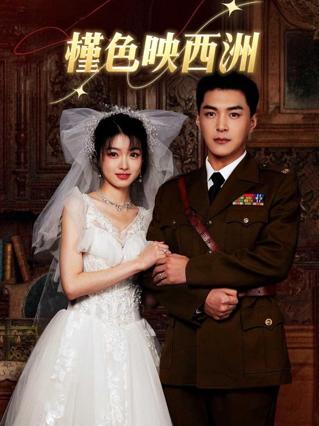 槿色映西洲封面