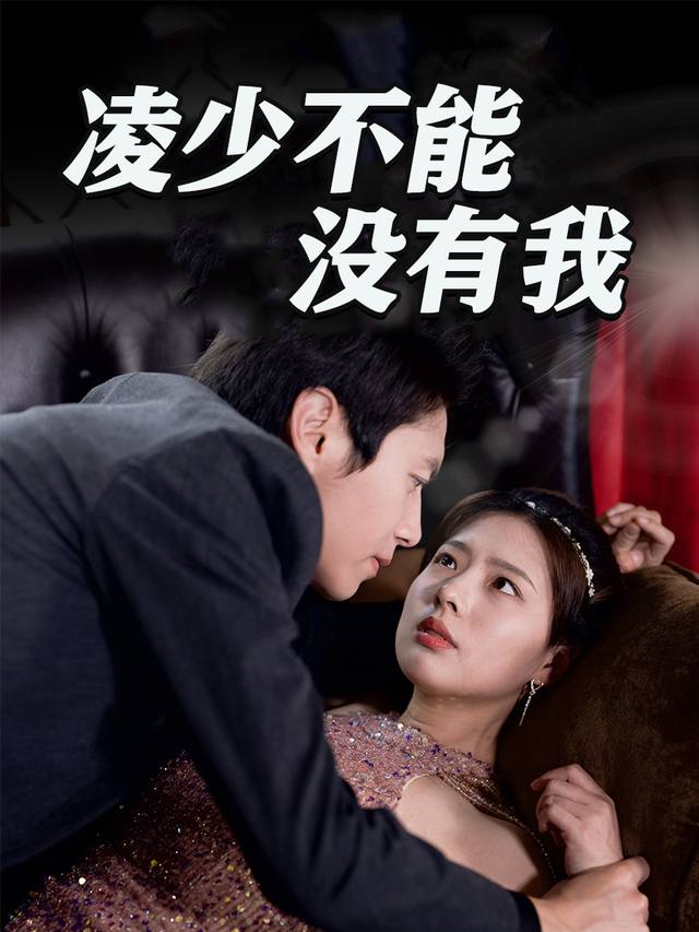 凌少不能没有我封面