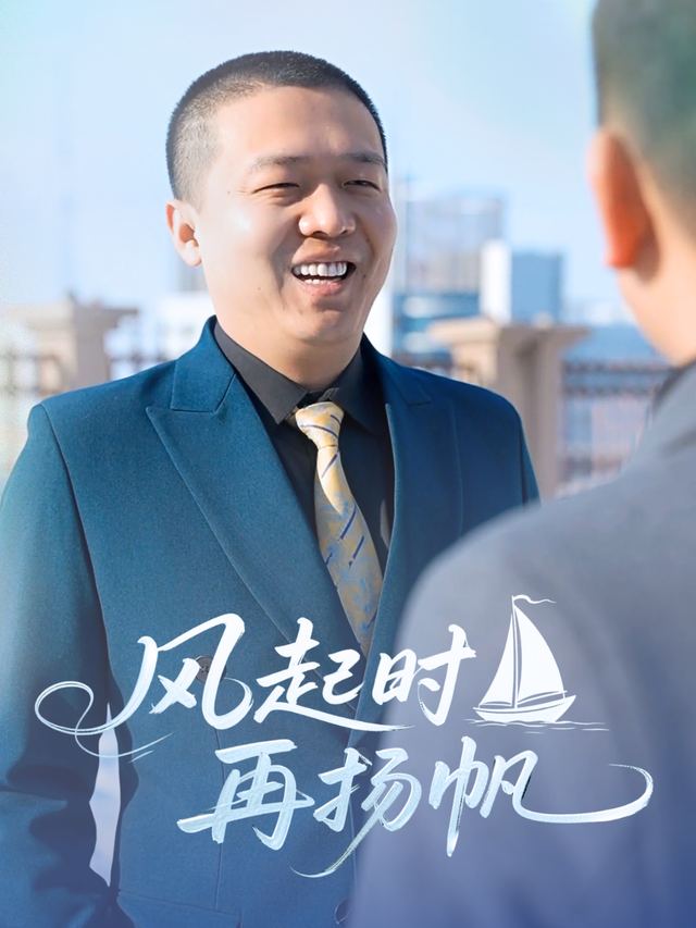风起时再扬帆封面