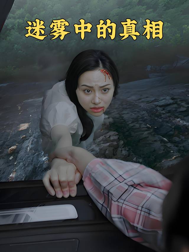 迷雾中的真相封面