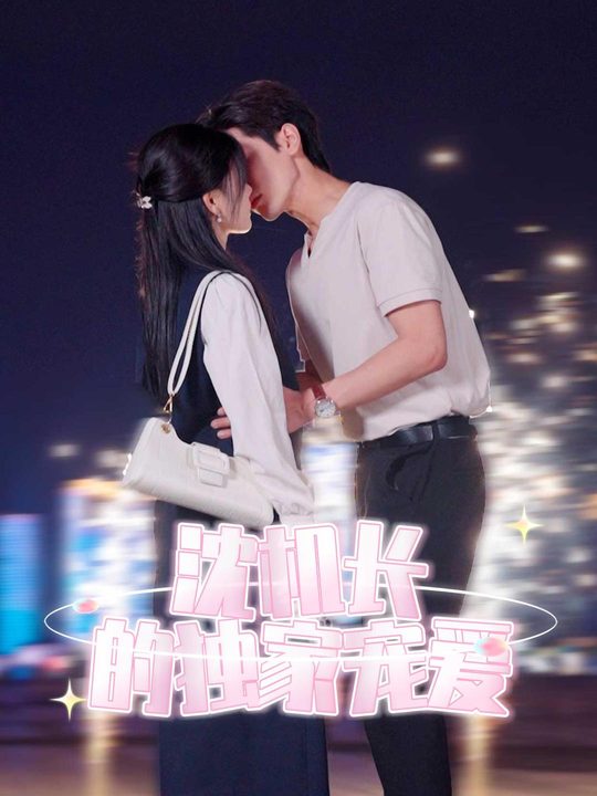 沈机长的独家宠爱封面