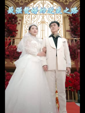 最强赘婿的逆袭之路封面