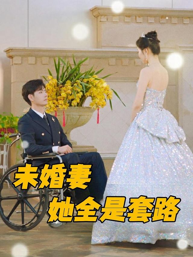 未婚妻她全是套路封面