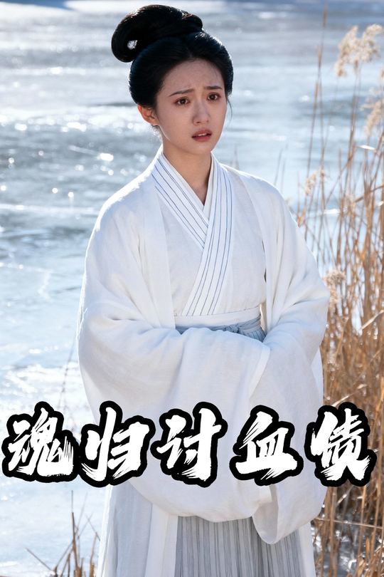 魂归讨血债封面