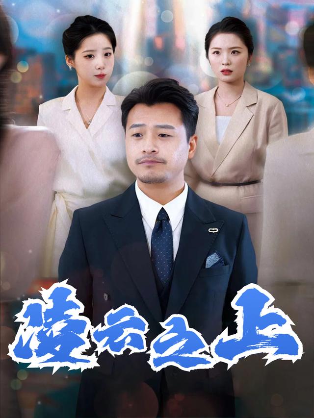 凌云之上封面