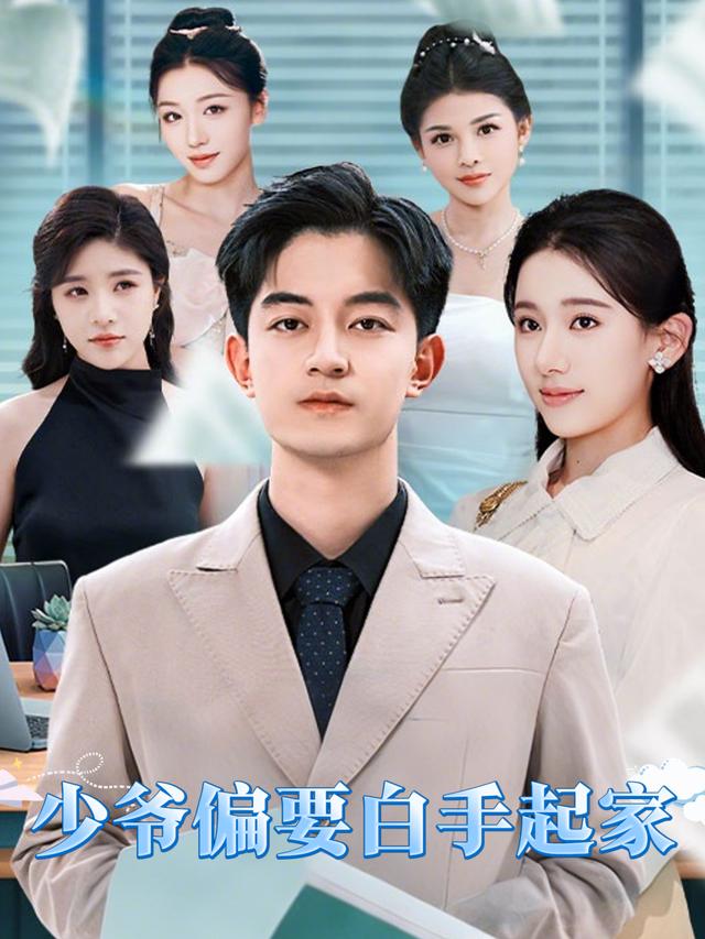 少爷偏要白手起家封面