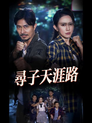 寻子天涯路封面