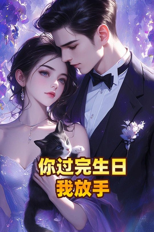你过完生日我放手封面