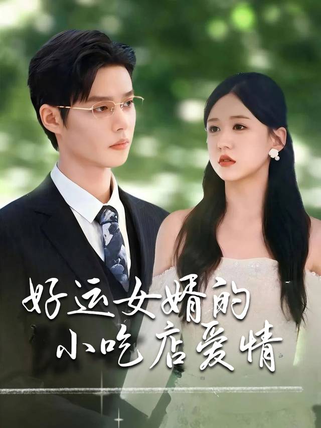 好运女婿的小吃店爱情封面