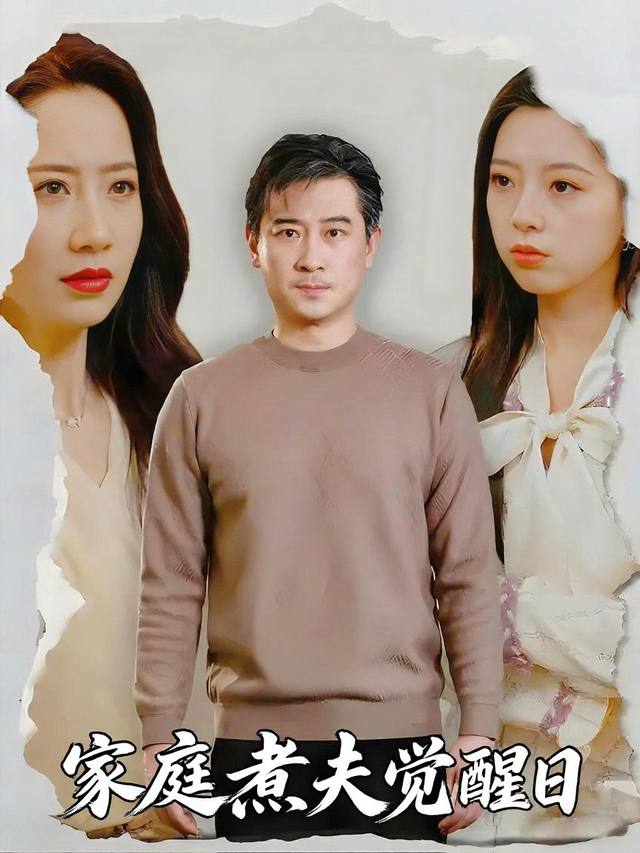 家庭煮夫觉醒日封面