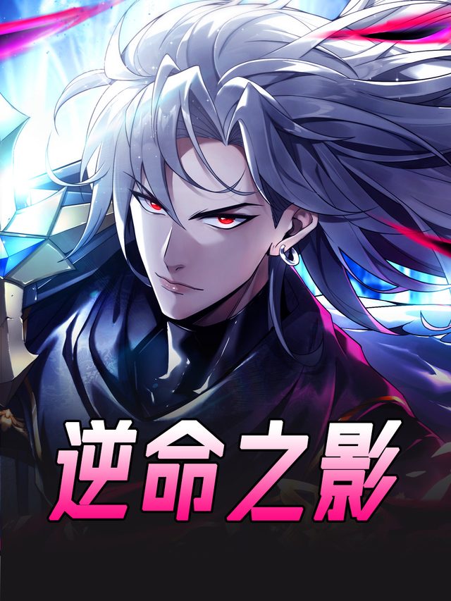 逆命之影封面