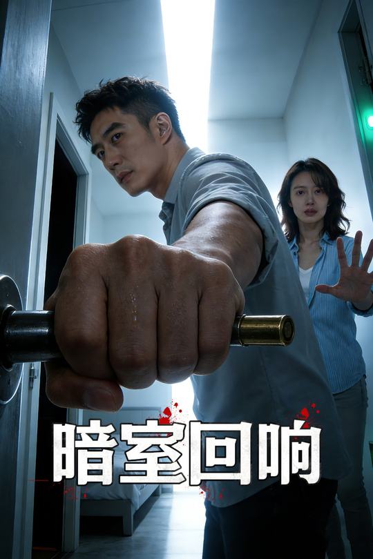 暗室回响封面