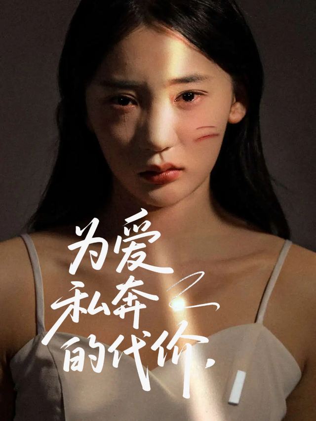 为爱私奔的代价封面