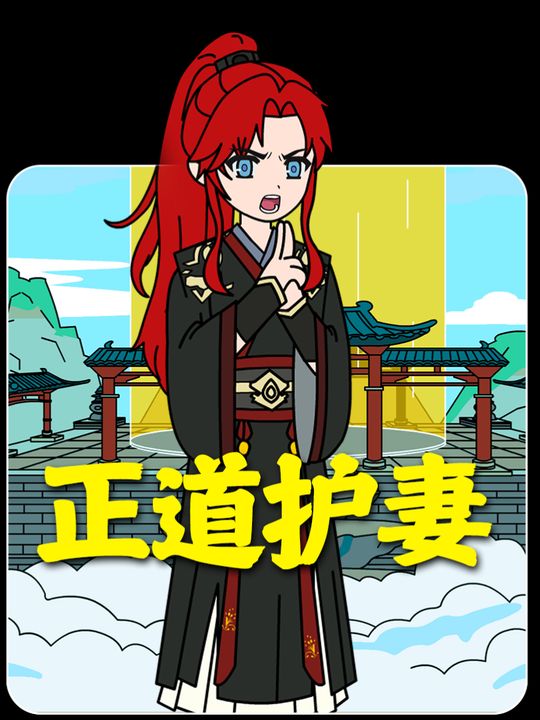 正道护妻封面