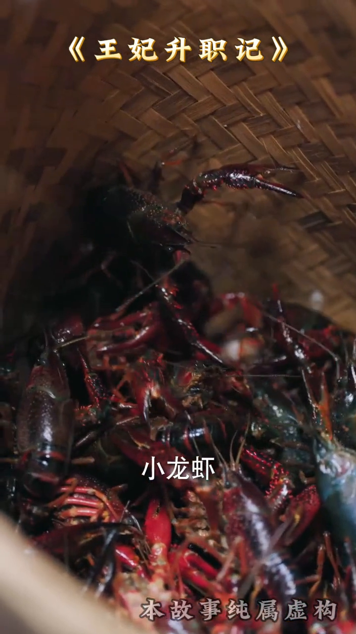 王妃升职记封面