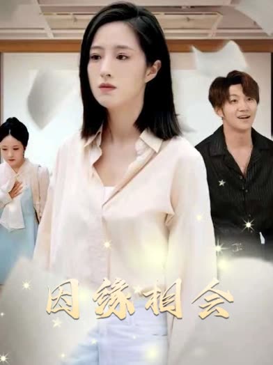 因缘相会封面