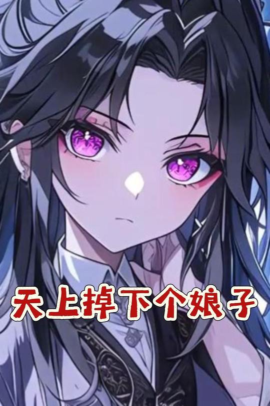 天上掉下个娘子封面