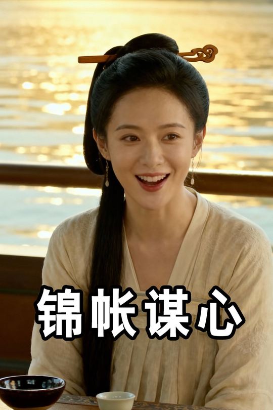 锦帐谋心封面