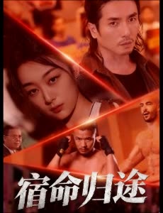 宿命归途封面