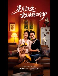 星月归途:重生婆婆的守护封面