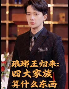 琅琊王归来:四大家族算什么东西封面
