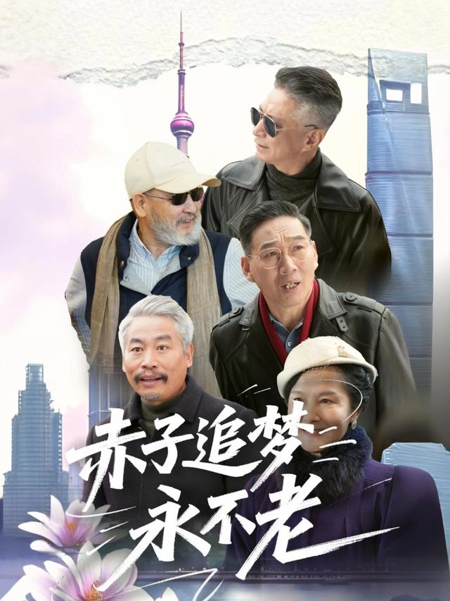 赤子追梦永不老封面