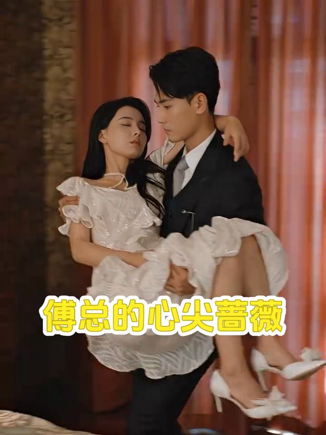 傅总的心尖蔷薇封面
