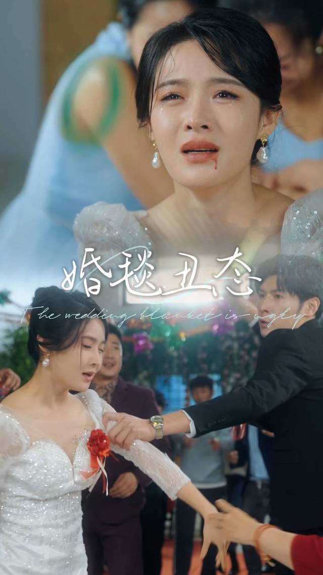 婚毯丑态封面