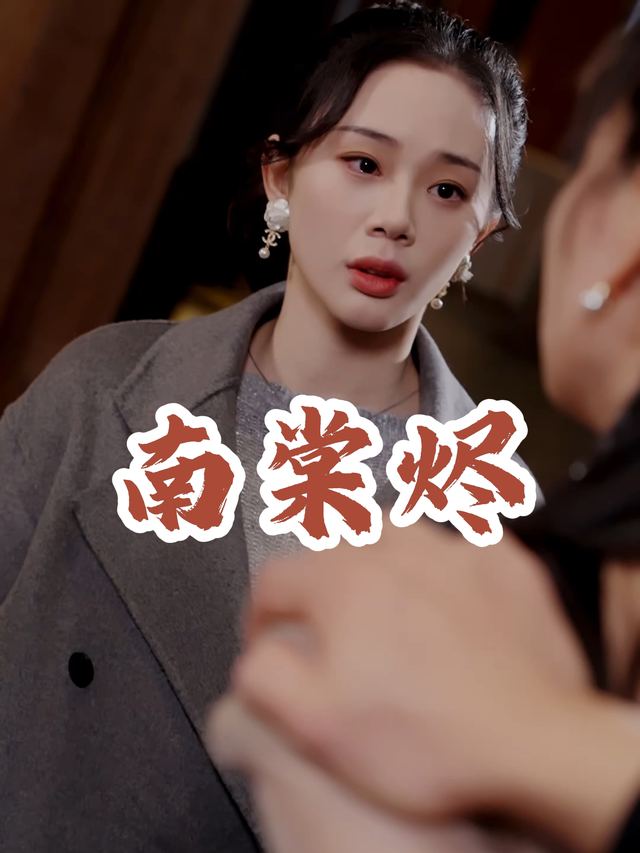 南棠烬封面