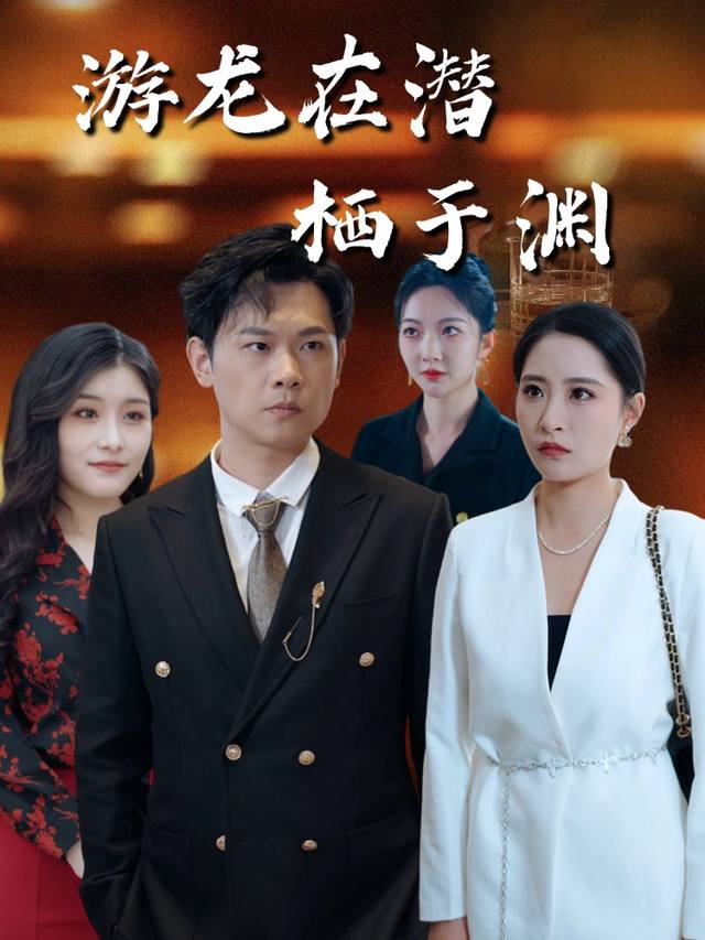 游龙在潜栖于渊封面