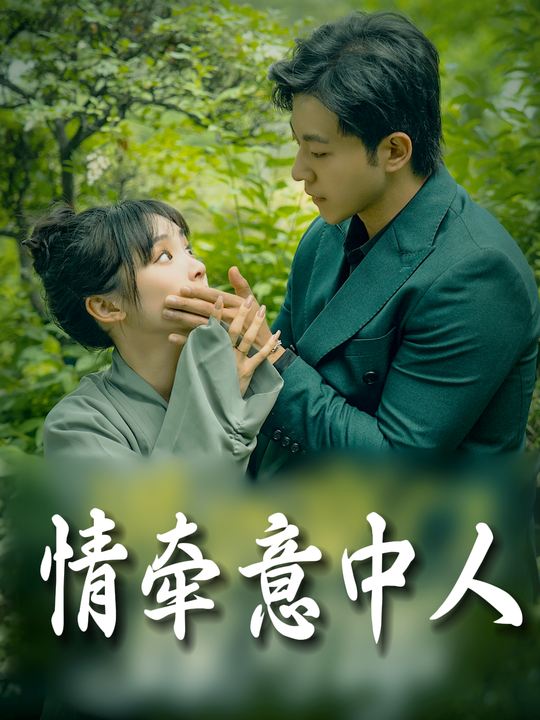 情牵意中人封面