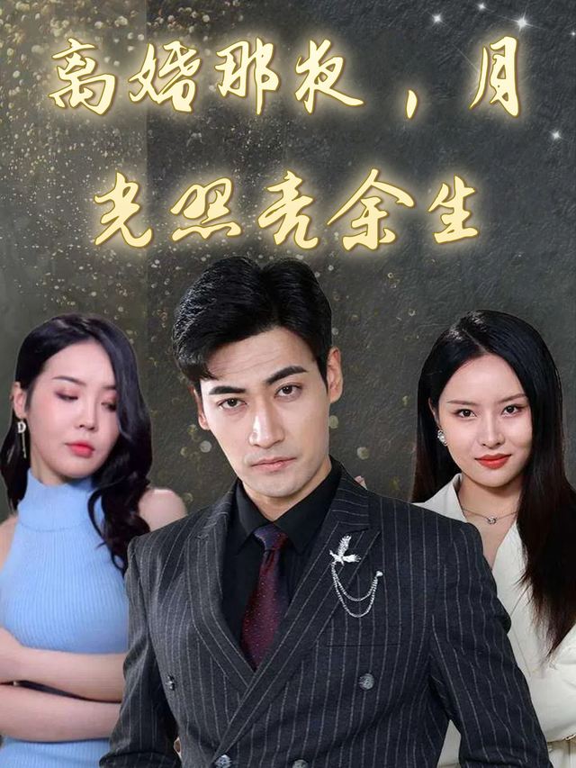 离婚那夜,月光照亮余生封面