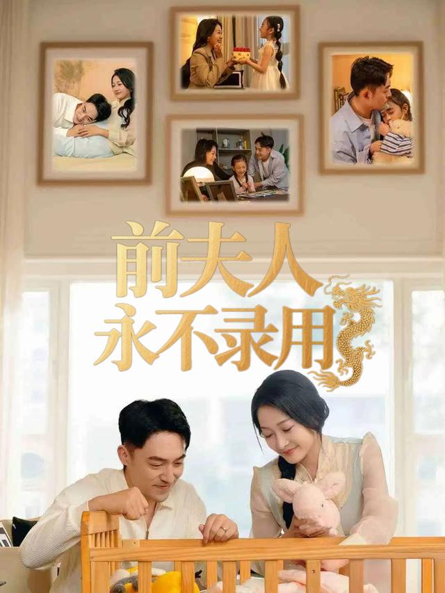 前夫人永不录用封面