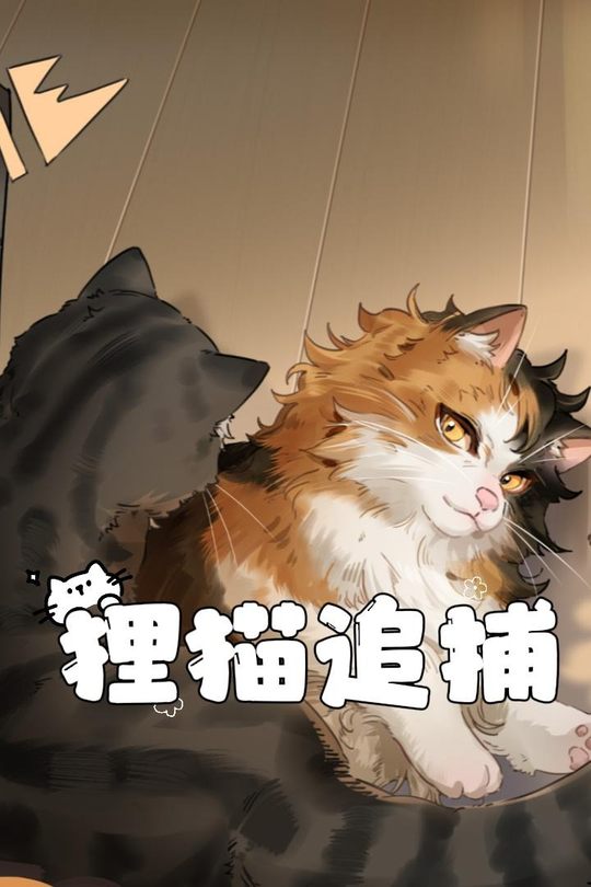 狸猫追捕封面